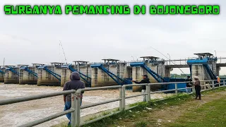 NDELOK WONG MANCING NANG BENDUNGAN GERAK BOJONEGORO‼️