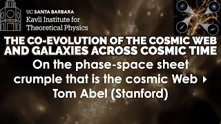 On the phase-space sheet crumple that is the cosmic Web   ▸   Tom Abel (Stanford)
