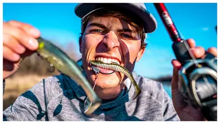 SWIMBAIT Fishing For The BIGGEST BASS In YOUR Lake!!