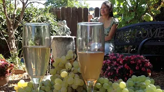 How To Make White Wine-Fermenting Grapes To Alcohol Recipe