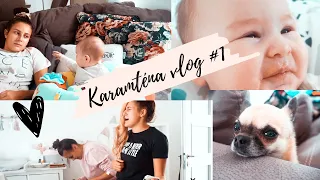 ŽIVOT V KARANTÉNĚ VLOG #1 Jak probíhala karanténa u nás ?