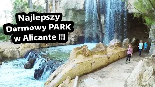 Jak Wygląda Darmowy Park w Hiszpanii? - Les Palmeras w Alicante (Vlog #219)