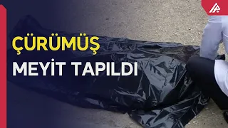 Bakıda çürümüş qadın meyiti tapıldı - APA TV