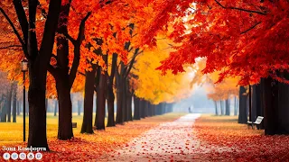 GOLDEN AUTUMN 🍁 SOULFUL AUTUMN SONGS! The most beautiful melody in the world! Music for the soul