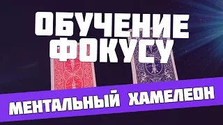 Обучение фокусу - ментальный хамелеон - фокус с картами