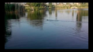 Озеро в Сахарной головке каким его помнят севастопольцы