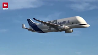 BelugaXL whale plane first ever landing captured by Liverpool man