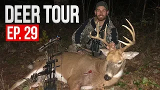 Hunting Scrape Lines, MISSOURI BOW BUCK - DEER TOUR E29