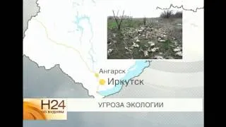 Свалка лошадиных и коровьих голов обнаружена на окраине Ангарска