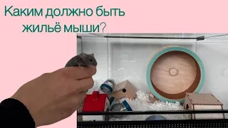 Клетка для мыши-￼МЫШ 🩶🩶