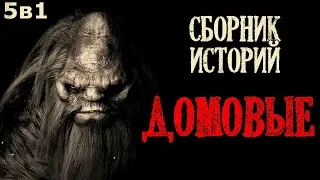 Истории на ночь (5в1): 5 историй про Домовых