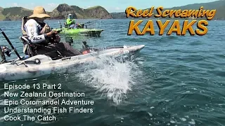 Shark attacks kayak side, learn fish finder and how to Thai fish cakes - RSK Ep 13 part 2