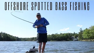 My FAVORITE way to catch SPOTTED BASS!!