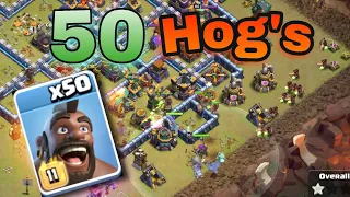 🐗Attack with “Hog family”😂 | Raguvaran 😎