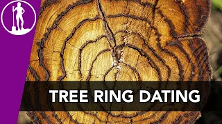 Dendrochronology (Tree Ring Dating) | Archaeological Dating Techniques