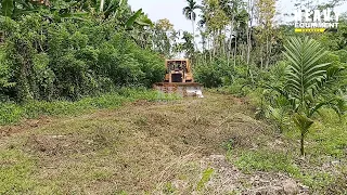 Caterpillar D6R XL Bulldozer Operator is Very Good at Working to Smoothing Plantation Roads