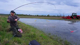 Flood Washed SO MANY BIG FISH Into a Farmers Field! RESCUE Time!