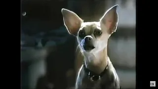 Taco Bell dog “chances are” commercial 1999