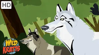 Creatures of North America | Wolves, Bears, Birds + more! [Full Episodes] Wild Kratts