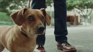 U S  Bank Super Bowl 2018 TV Commercial, No Dogs Allowed