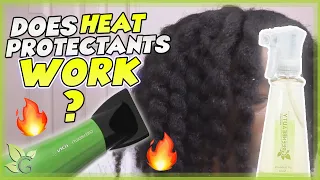 How to choose THE BEST HEAT PROTECTANT for your hair