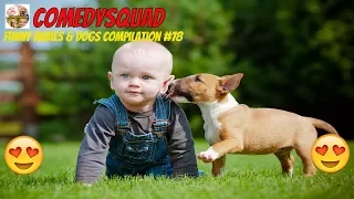 Dogs and Babies are Best Friends-Funny Babies & Dogs Compilation #78