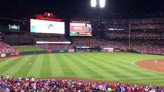 Rally Cat at St. Louis Cardinals Game