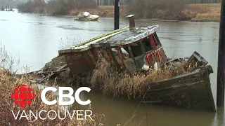 Major cleanup underway in Pitt Meadows