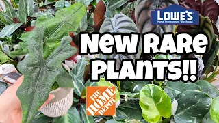AMAZING NEW PLANTS AT HOME DEPOT & LOWE'S!! 😍🌿 I can't believe what I found in Manchester, CT!