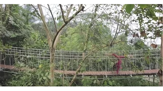 Circus performers: Weather Maker, Rainforest Canopy Walkway - Eden Project