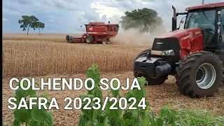 COLHENDO SOJA COM 3 COLHEITADEIRAS CASE IH SAFRA 2023/2024