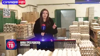 🍳 Сколько стоят на птицефабрике куриные яйца? Цены на яйца в ДНР