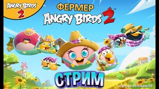 37 ★ СТРИМ ★ Комплект шляп ФЕРМЕР в Angry Birds 2 - Обзор Энгри Бердс  Злые птички