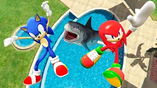 GTA 5 Water Ragdolls Sonic vs Knuckles ep.1 (Euphoria Physics Funny Moments, Flooded Los Santos)