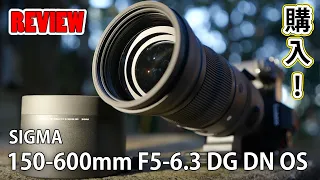 SIGMA 150-600mm F5-6.3 DG DN OS | Sports 買いました！