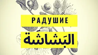 Радушие