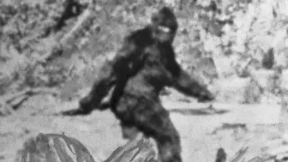 5 Strange Bigfoot Sightings Caught on Camera