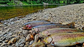 Amazing TROUT Fishing in Michigan!!!...Catch Clean & Cook