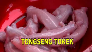 TONGSENG TOKEK | JEJAK SI GUNDUL (18/10/22)