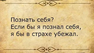 Самая лучшая подборка цитат | Лучшие цитаты | Мудрые слова великих. #цитаты