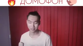 TERRY - ДОМОФОН (COVER)