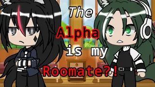 //The Alpha is my roommate?!//-(Lesbian glmm)-2.4k+ subscribers special❤❤❤