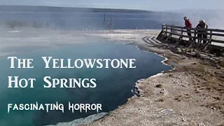 The Yellowstone Hot Springs | A Short Documentary | Fascinating Horror