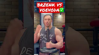 BRZENK VS VOEVODA✅