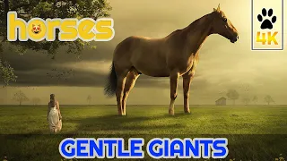 The Majestic Beauty of Horses: A Soothing Video of Horses in Nature | The Art of Equine Relaxation