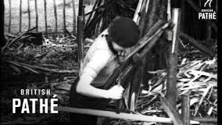 Girls Make Hurdles Aka Girl Hurdle Makers (1936)
