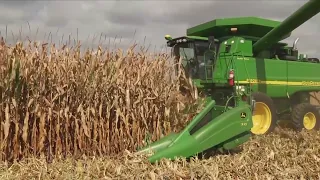 Iowa lawmakers in Congress concerned about China buying U.S. farmland