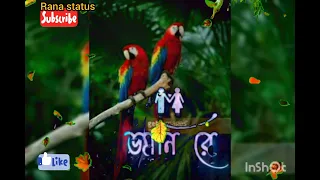 আমার সোনার ময়না পাখি চোখে কাজল ধোয়া পানি "I 😢😢😢 Rana Vigo"status video 🥰🥰