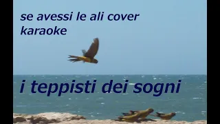 SE AVESSI LE ALI COVER karaoke fair use I TEPPISTI DEI SOGNI