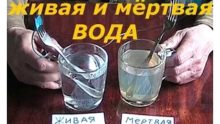 вода живая и мёртвая